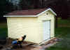 1999 rib mt shed turf stone patio6.jpg (66196 bytes)