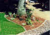 Small garden with mulch.jpg (93011 bytes)
