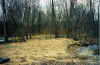 after_restoration_wis_river_2002_2.jpg (175256 bytes)