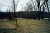 after_restoration_wis_river_2002_7.jpg (155199 bytes)