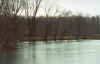 after_restoration_wis_river_2002__1.jpg (103925 bytes)
