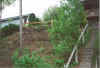 lake_wausau_stairs_before_2002_2.jpg (134480 bytes)
