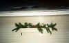 landflowerbox1-2001.jpg (46938 bytes)