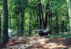 pond & garden hamock 2 ground veiw up path.jpg (108986 bytes)