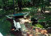 pond & garden hamock.jpg (98612 bytes)