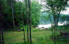 restoration_wisconsin_river_before_1.jpg (161787 bytes)