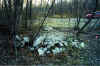 restoration_wisconsin_river_before_2.jpg (175274 bytes)