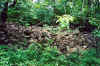 restoration_wisconsin_river_before_9.jpg (192868 bytes)