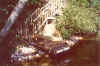 Mielke_dock.jpg (155370 bytes)