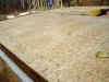 New_Home_first_floor_sheeting.jpg (2154412 bytes)