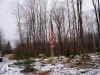 New_Home_flage_and_natural_setting.jpg (2365302 bytes)