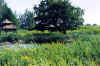 floating_dock_pond_2002_2.jpg (177873 bytes)