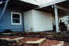 garden planting shed #1.jpg (99245 bytes)