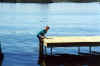 dock #1- pic12.jpg (69453 bytes)