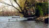 Small dock spring 2001.jpg (55891 bytes)