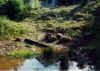 a pond b4 1.jpg (75847 bytes)
