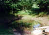 a pond b4 2.jpg (67340 bytes)