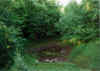 a pond b4 3.jpg (71192 bytes)