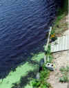 beforlakewausau6.jpg (64555 bytes)