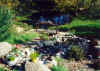 pondaft6.jpg (86553 bytes)