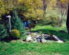 pondaft9.jpg (83662 bytes)