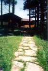 lake_dubay_rip-rap__landscape_2002_path_facing_house_13.jpg (154321 bytes)