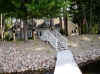 stairs_from_dock.JPG (104002 bytes)
